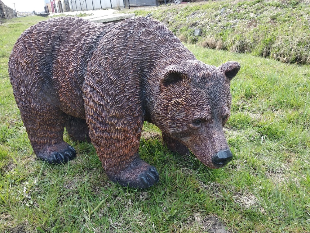 медведица