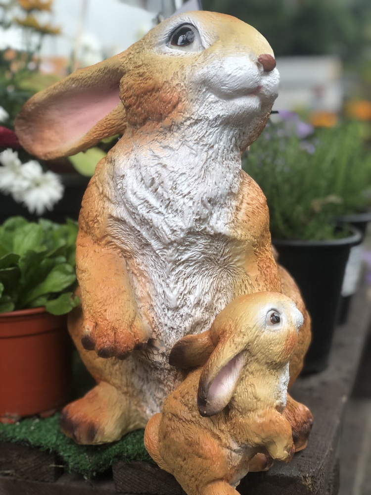 заяц с зайчонком большие