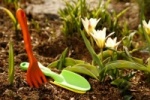 7 агротехнических приемов для Вашего сада в апреле.